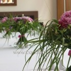 dekoracja kwiatowa stołów